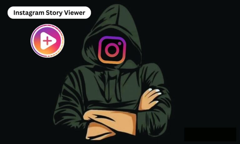 Instagram Story Viewer